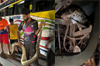 Python found inside wedding party bus at Moodbidri; rescued safely by snake catcher Dinesh